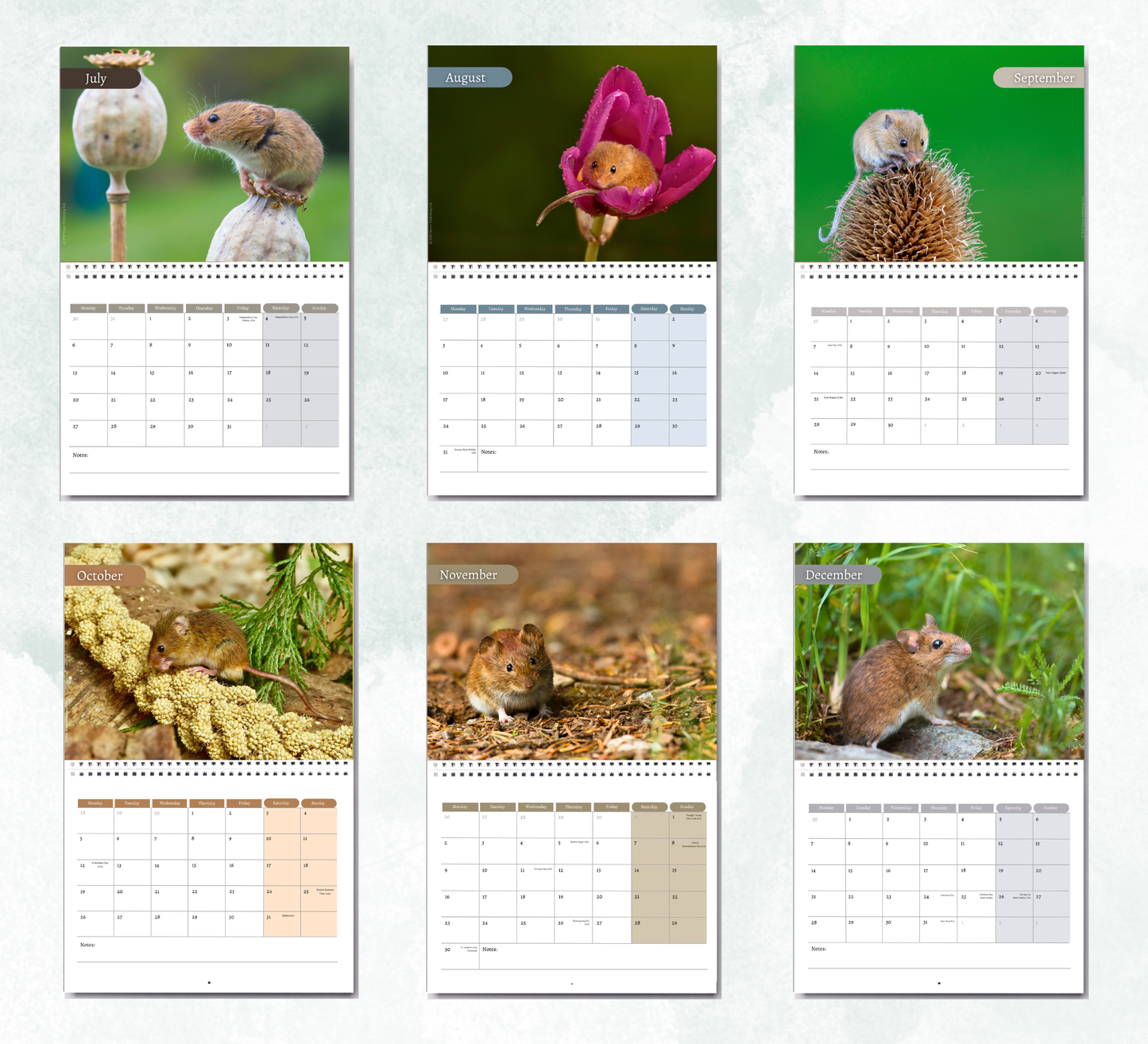 Mouse Calendar 2027