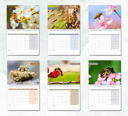 Bee Calendar 2027