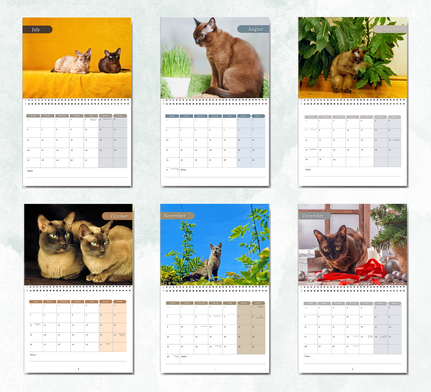 Burmese Cat Calendar 2027