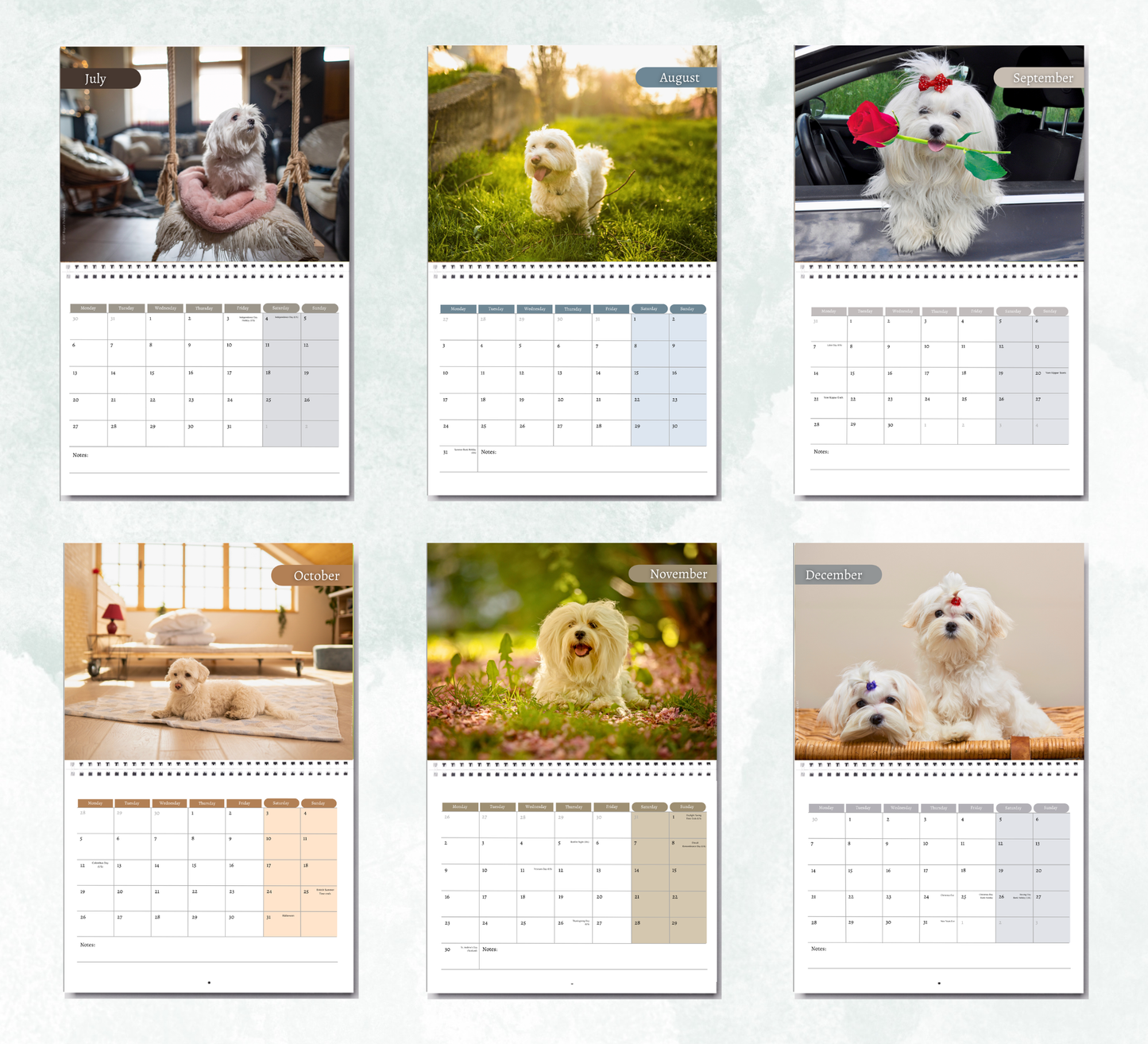 Maltese Dog Calendar 2027