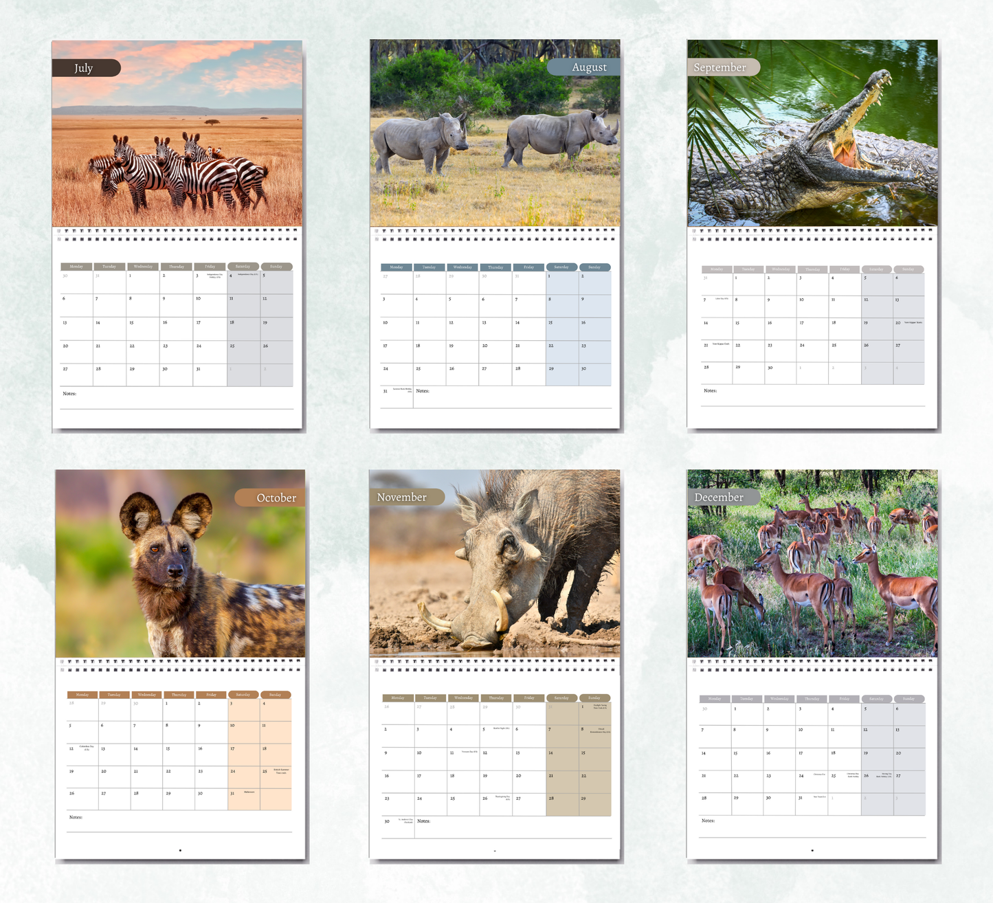 African Wildlife Calendar 2026