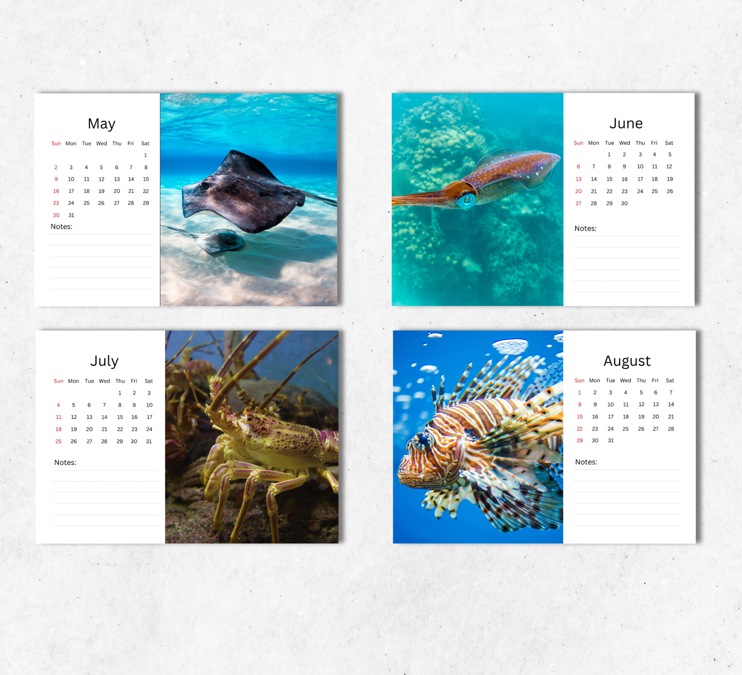 Under the Sea Desk Calendar 2027-2028