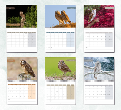 Owl Calendar 2027