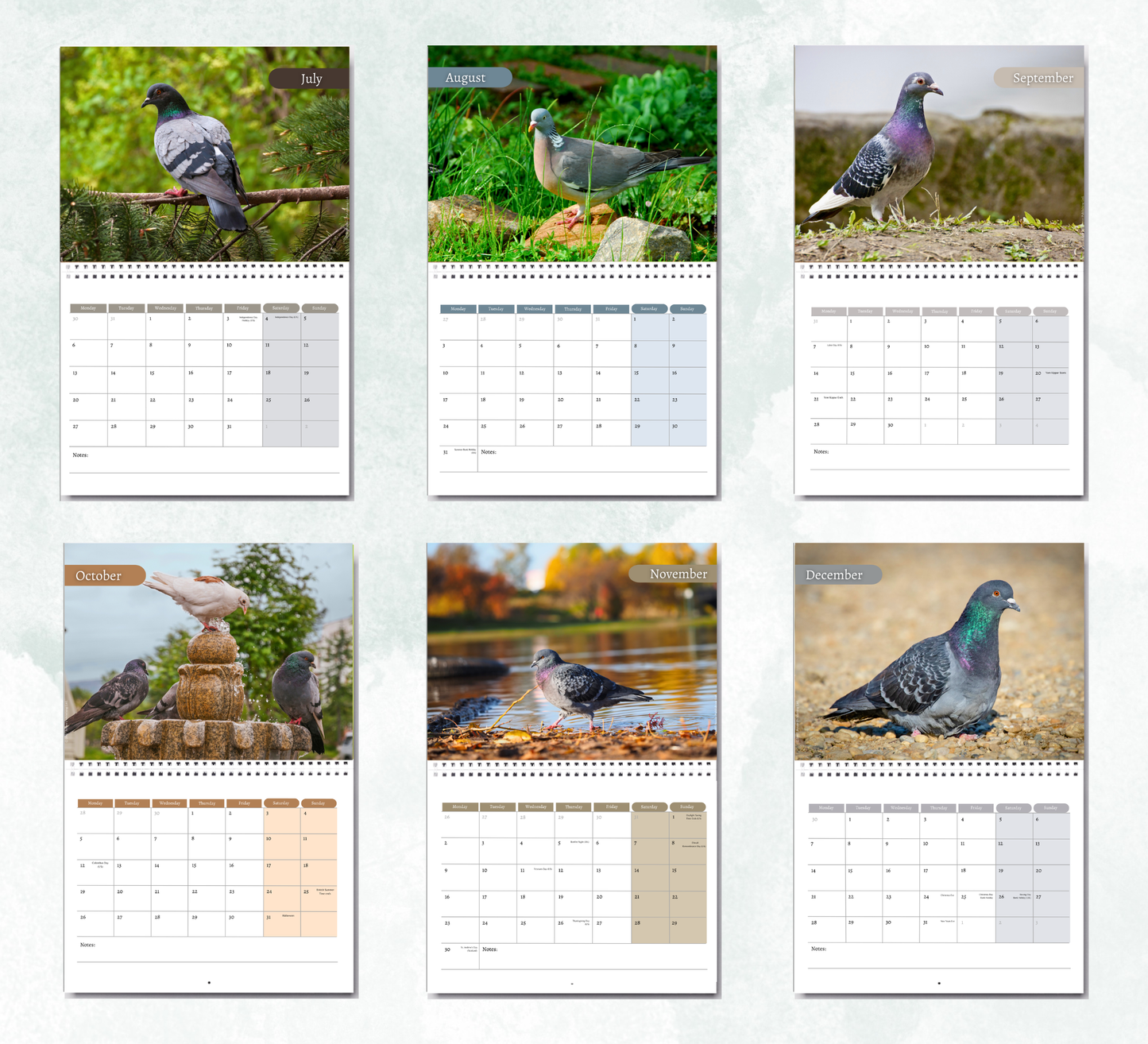 Pigeon Calendar 2027