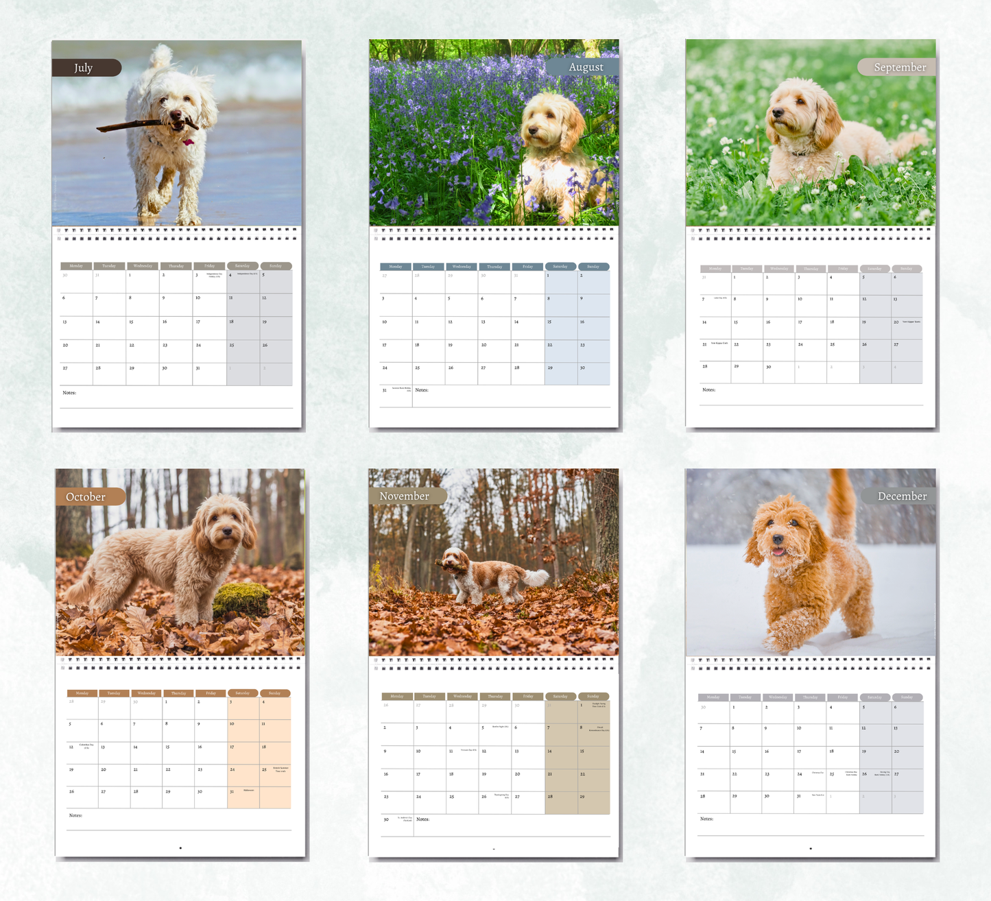 Cavapoo Calendar 2027