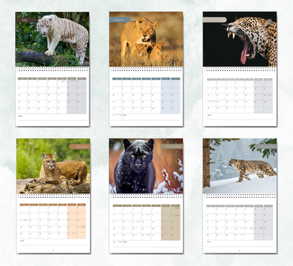 Big Cat Calendar 2027