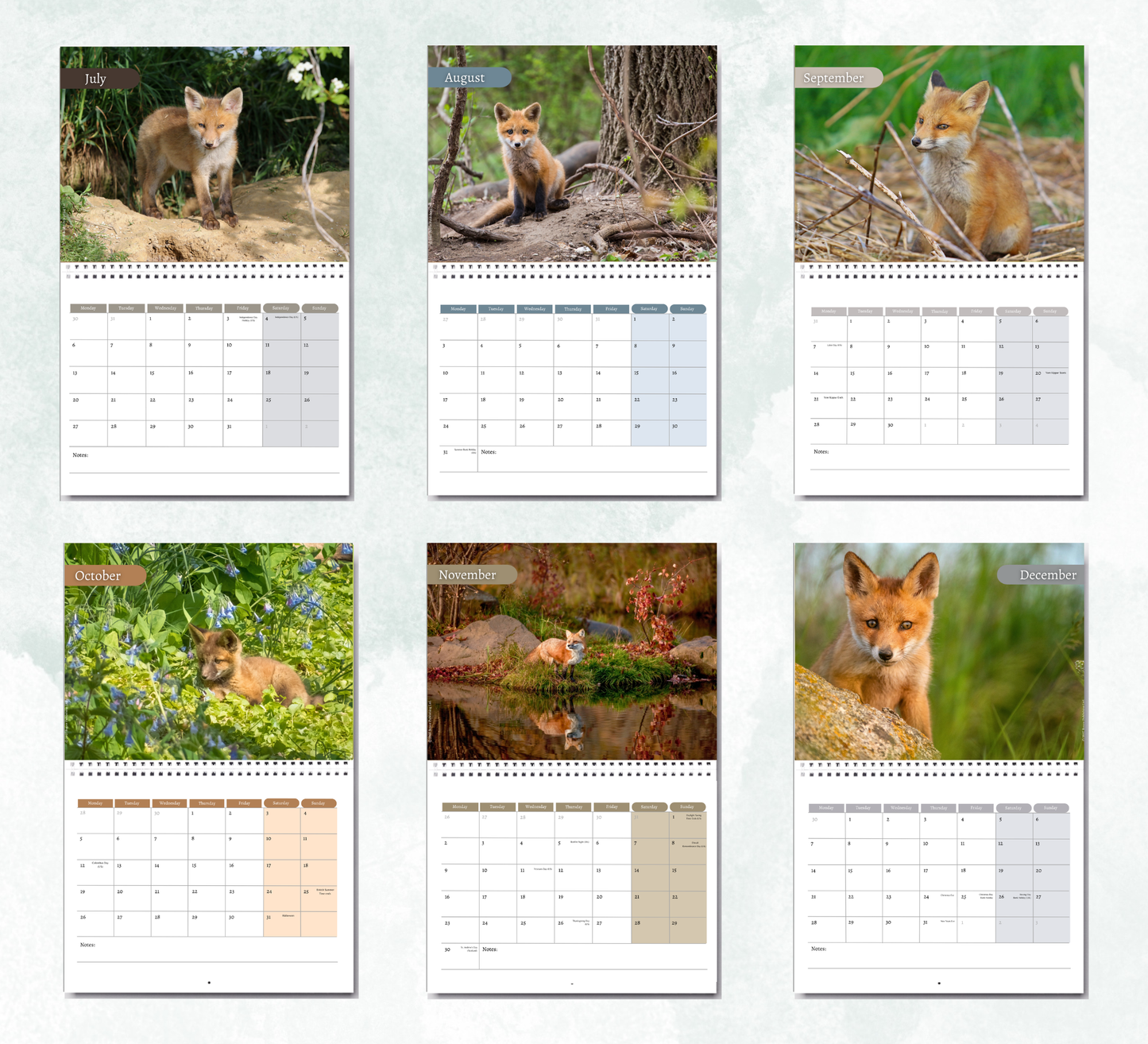 Baby Foxes Calendar 2027