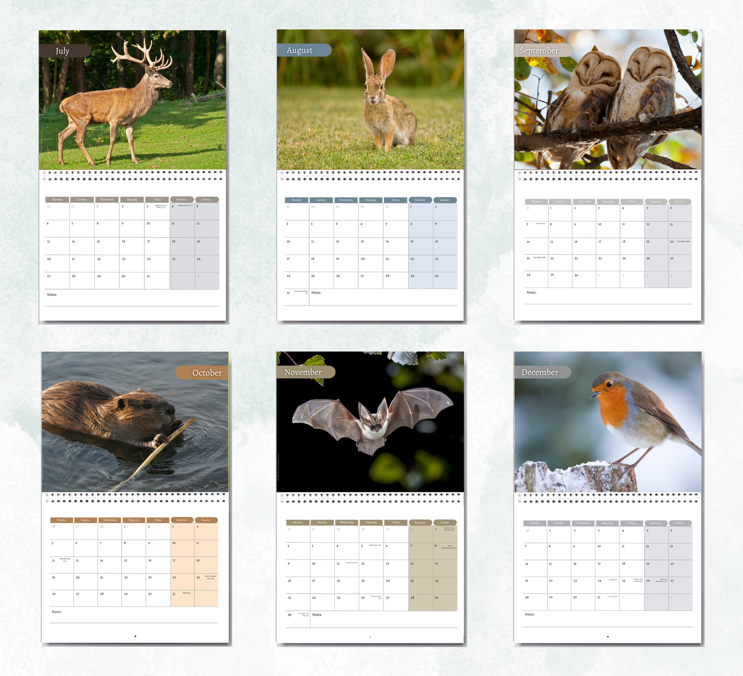British Wildlife Calendar 2027