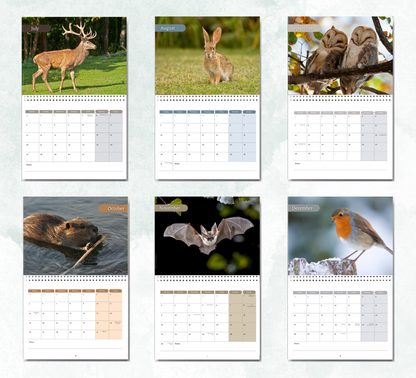 British Wildlife Calendar 2027