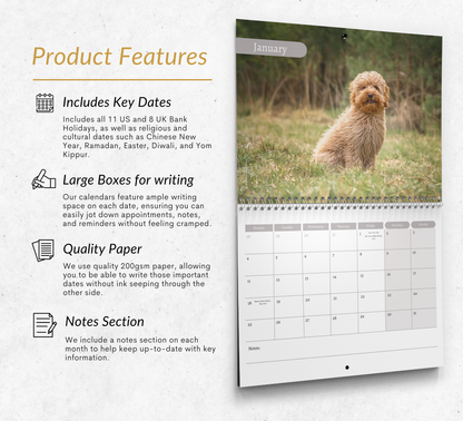 Cavapoo Calendar 2027