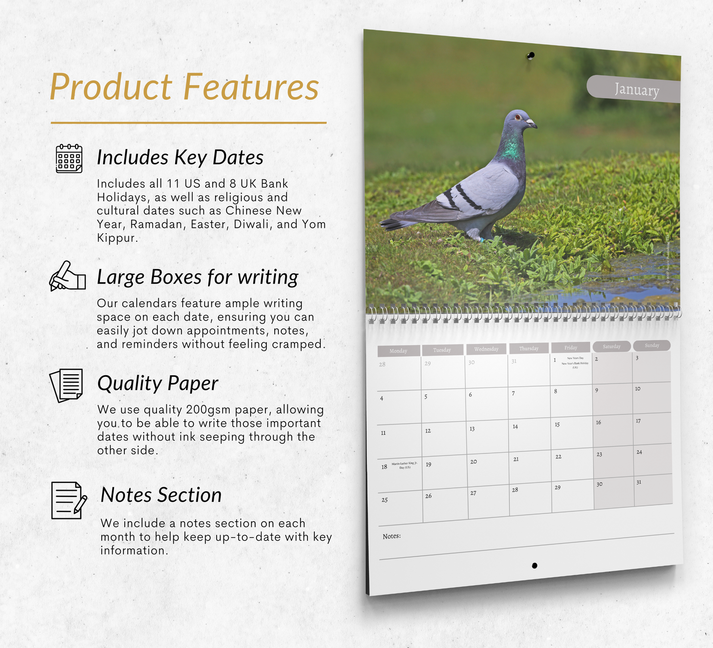 Pigeon Calendar 2027