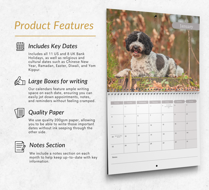 Labradoodle Calendar 2027