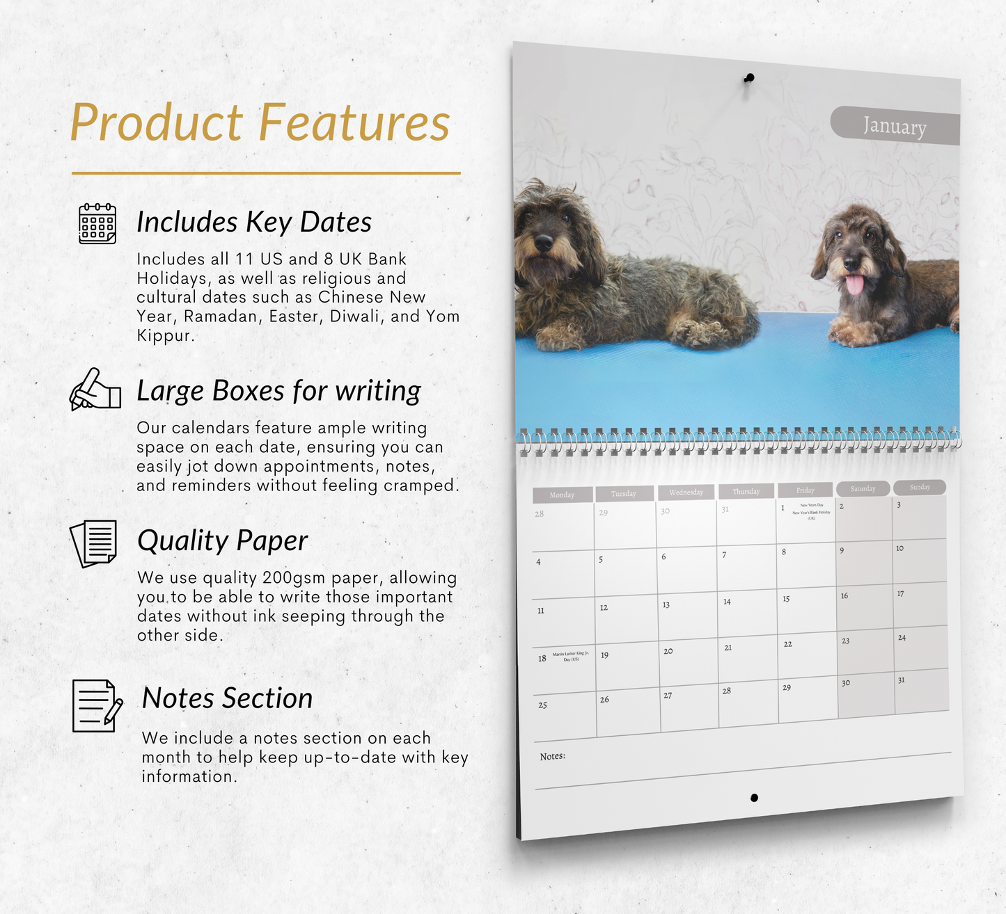 Dachshund (wire haired) Calendar 2027