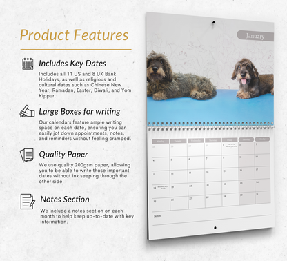 Dachshund (wire haired) Calendar 2027
