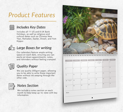 Tortoise Calendar 2027