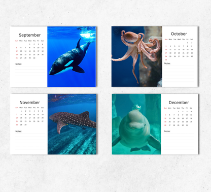 Under the Sea Desk Calendar 2027-2028