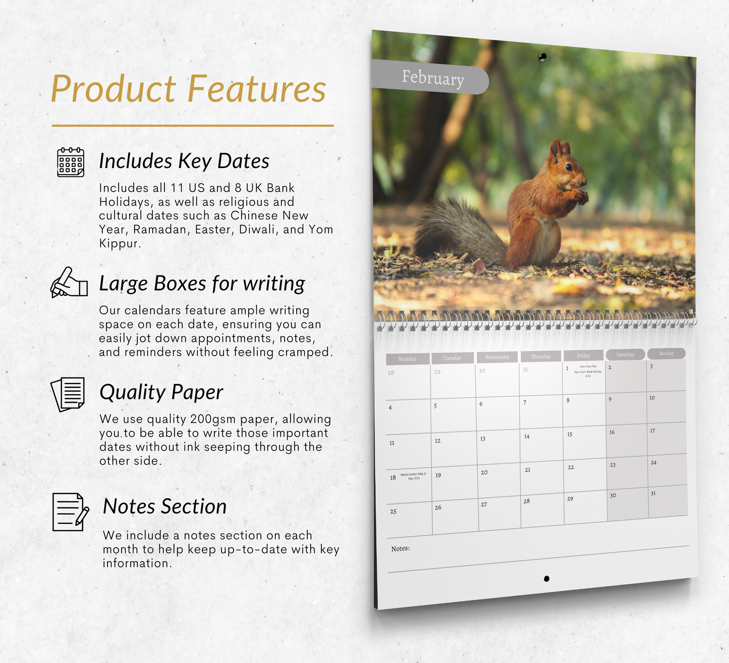 Red squirrel Calendar 2027