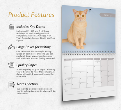 Burmese Cat Calendar 2027