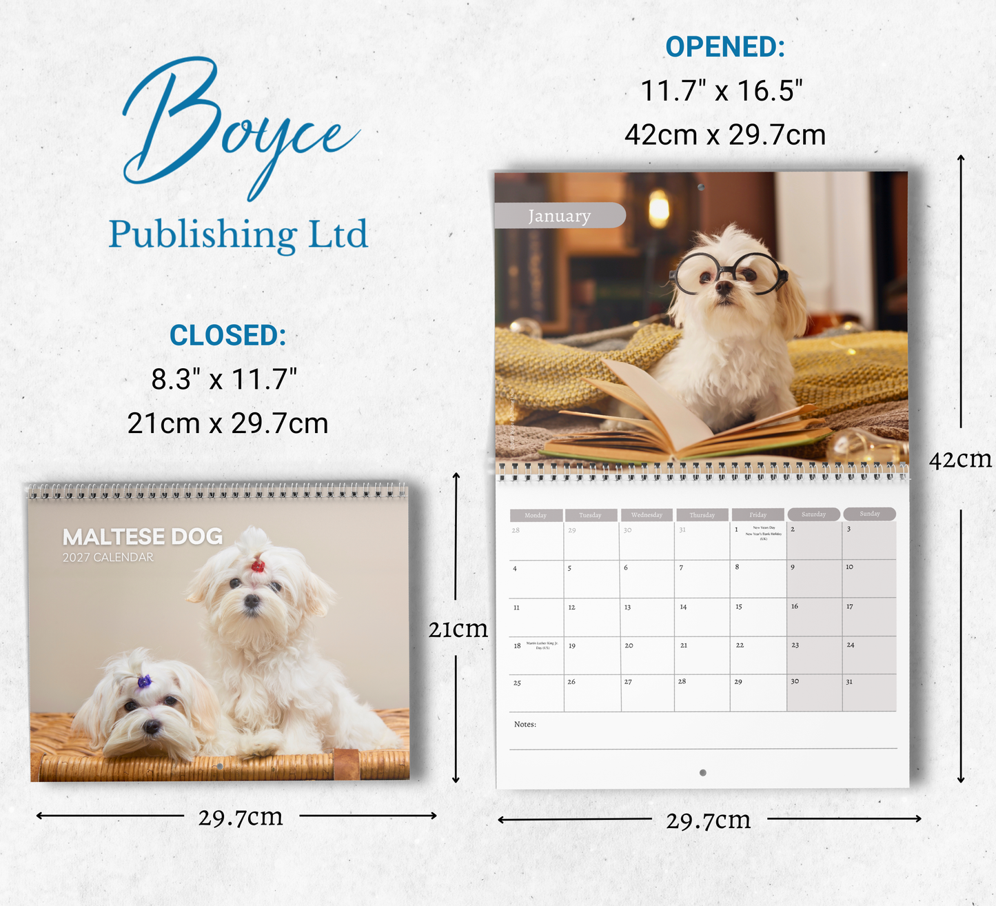 Maltese Dog Calendar 2027