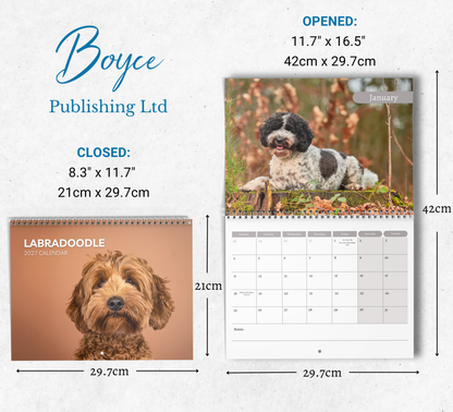 Labradoodle Calendar 2027