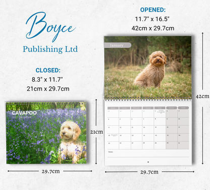 Cavapoo Calendar 2027