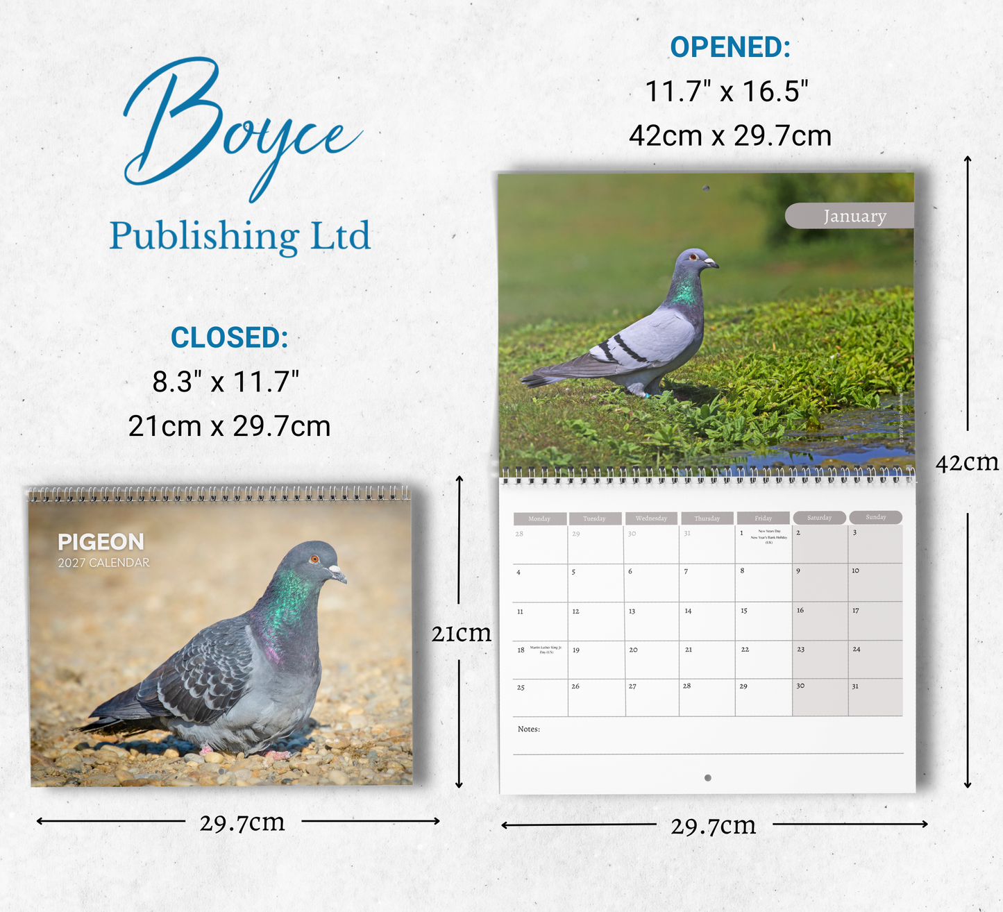 Pigeon Calendar 2027