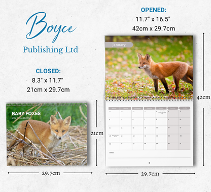 Baby Foxes Calendar 2027