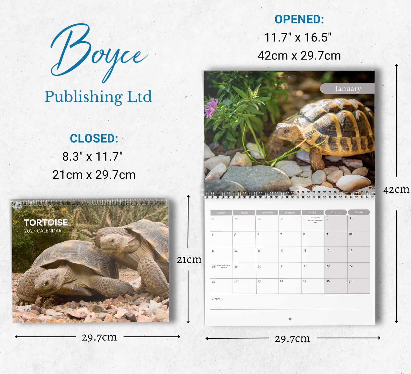 Tortoise Calendar 2027