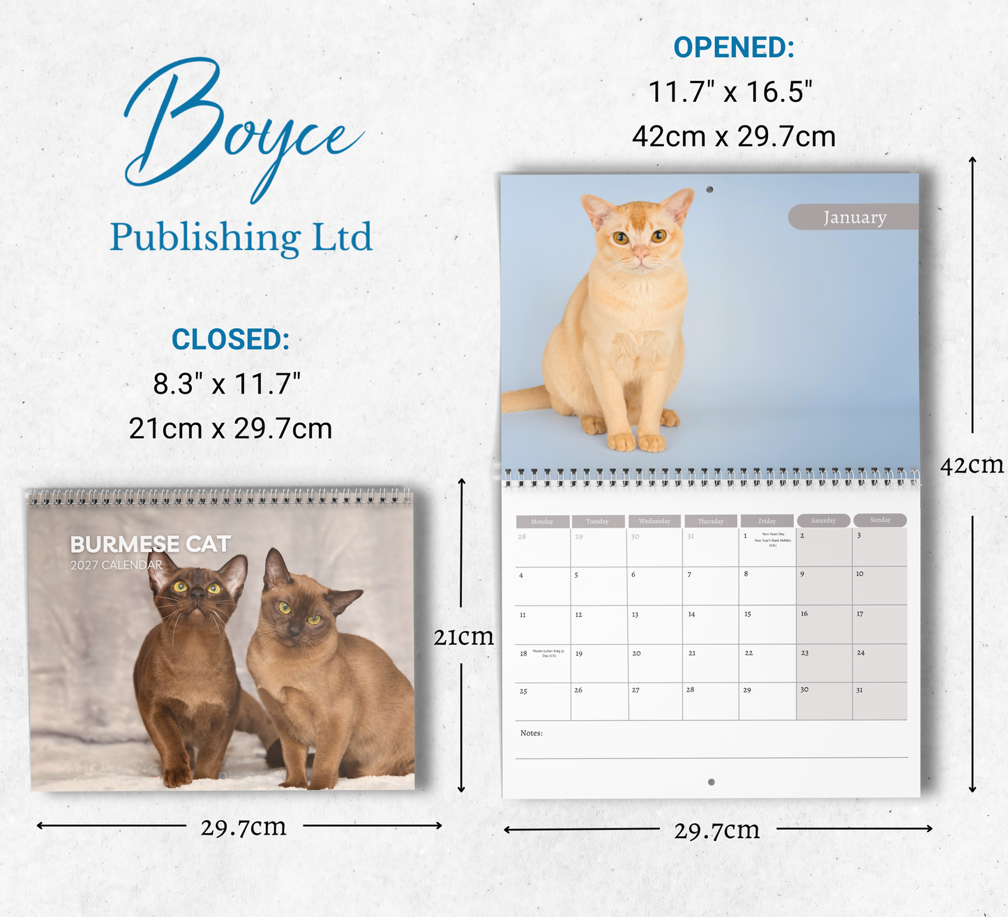 Burmese Cat Calendar 2027