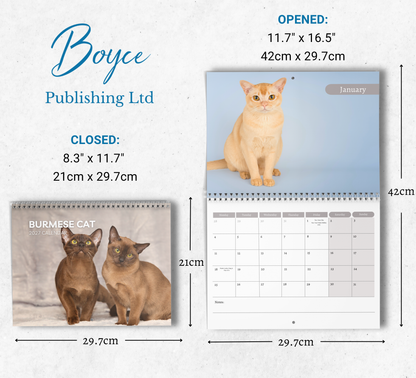 Burmese Cat Calendar 2027