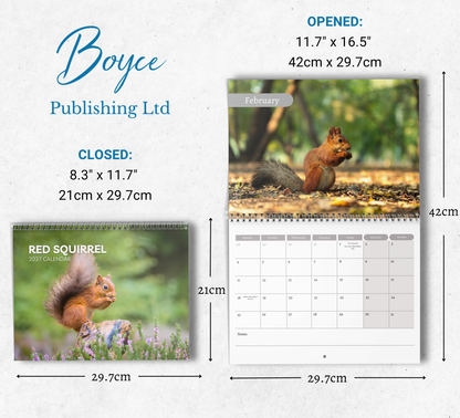 Red squirrel Calendar 2027