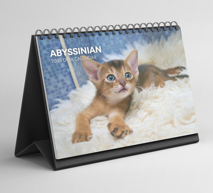 Abyssinian Cat Desk Calendar 2026-2027