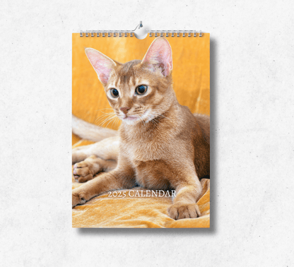 2025 Abyssinian cat calendar featuring a ginger abyssinian cat laying on a furry orange blanket.