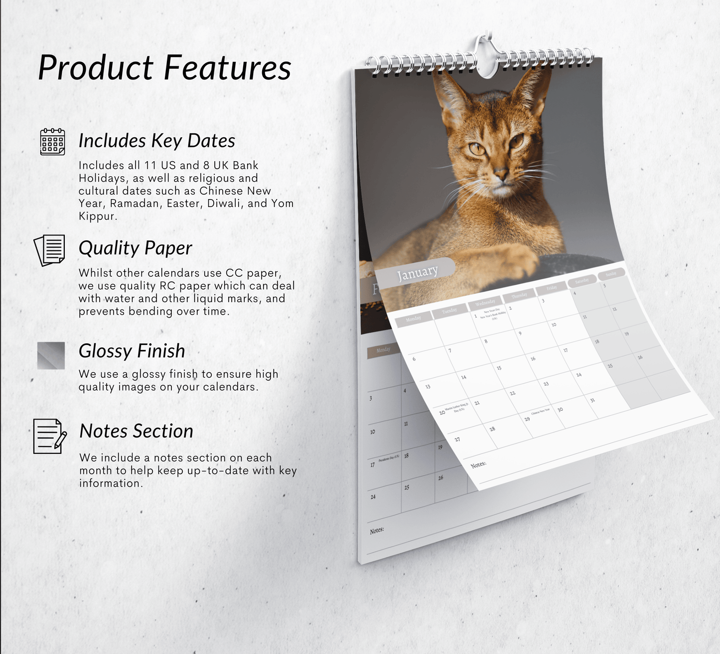 Abyssinian Cat Calendar 2025