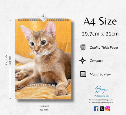 Abyssinian Cat Calendar 2025