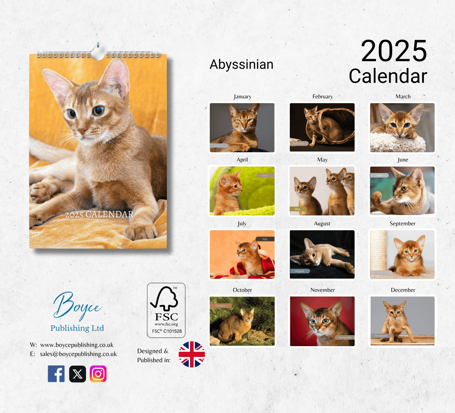 Abyssinian Cat Calendar 2025