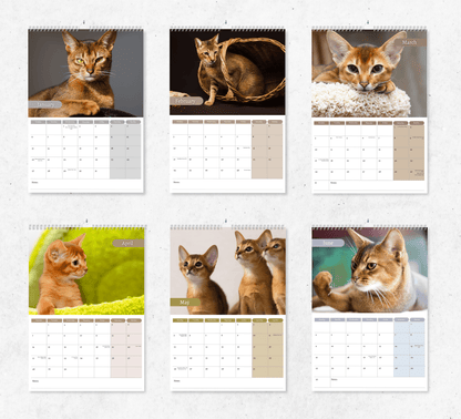 Abyssinian Cat Calendar 2025