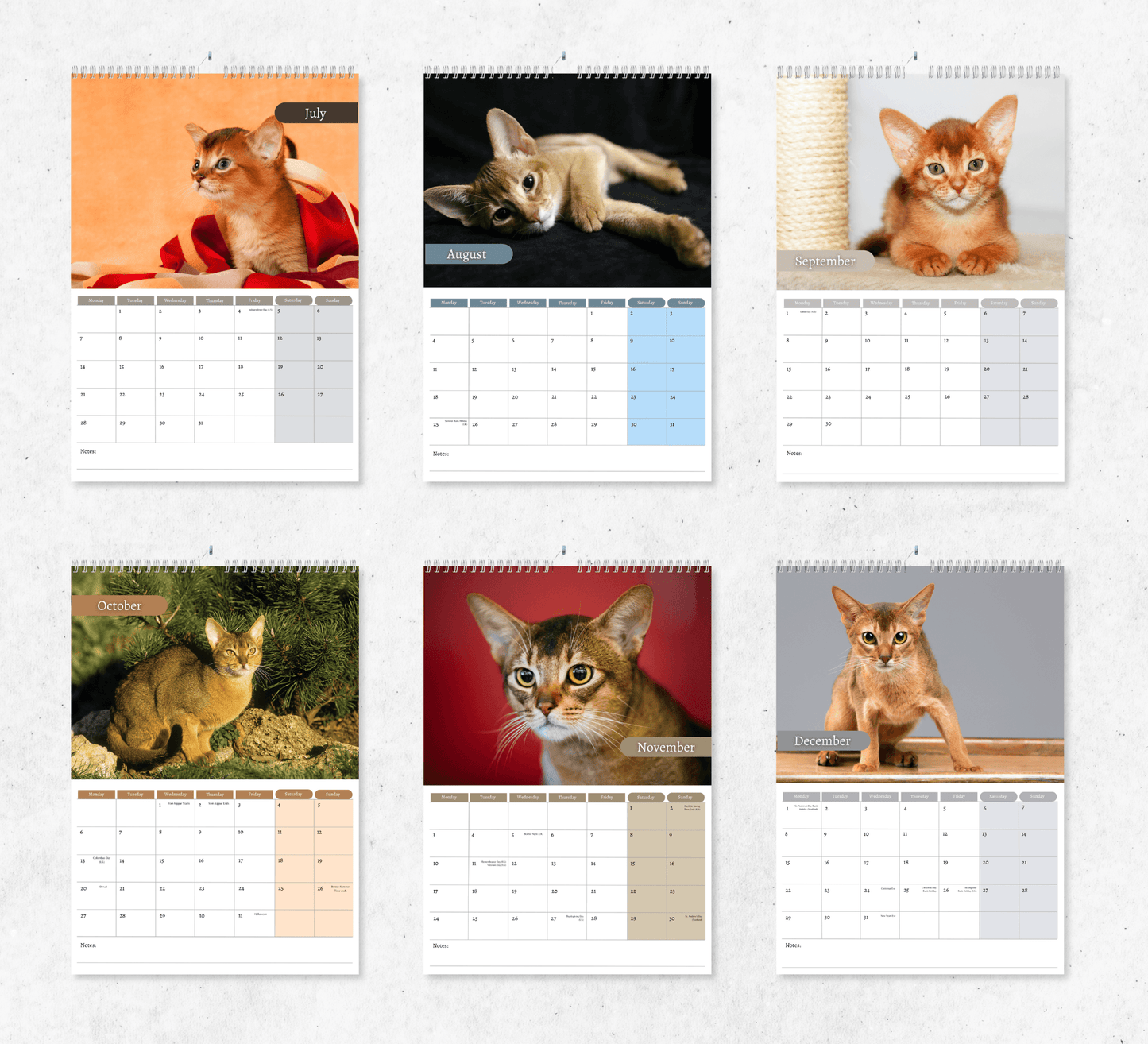 Abyssinian Cat Calendar 2025