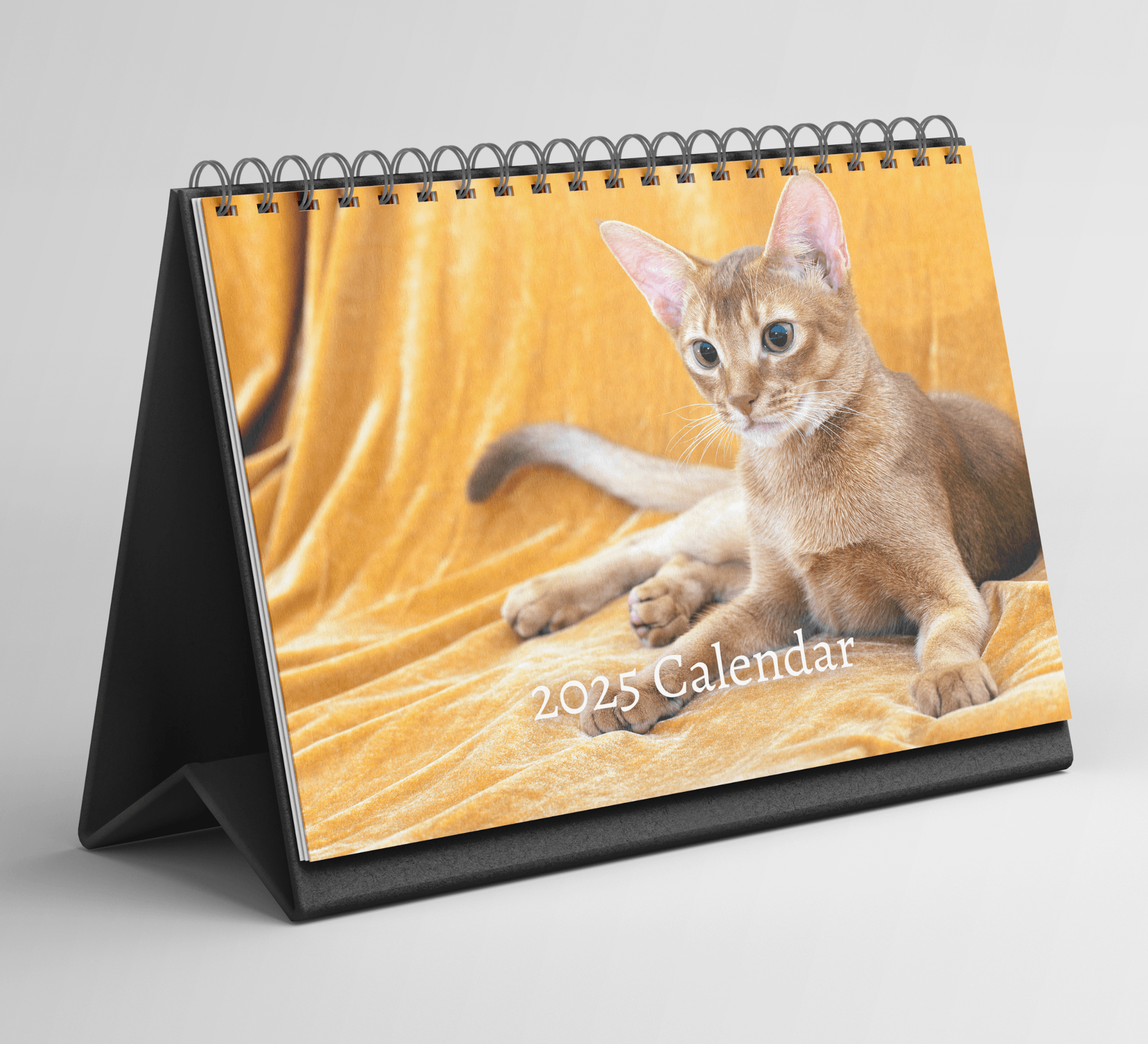 Abyssinian Desk Calendar 2025: Standing Flip Desktop Calendar with ...