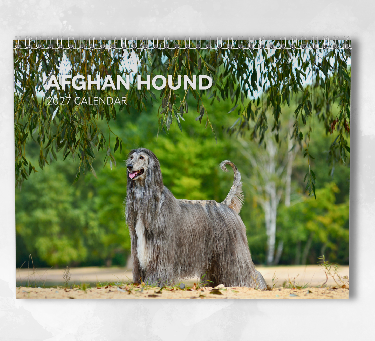 Afghan Hound Calendar 2027