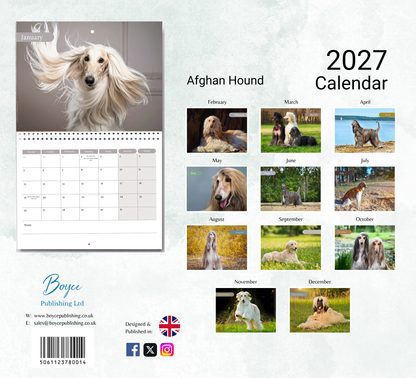 Afghan Hound Calendar 2027
