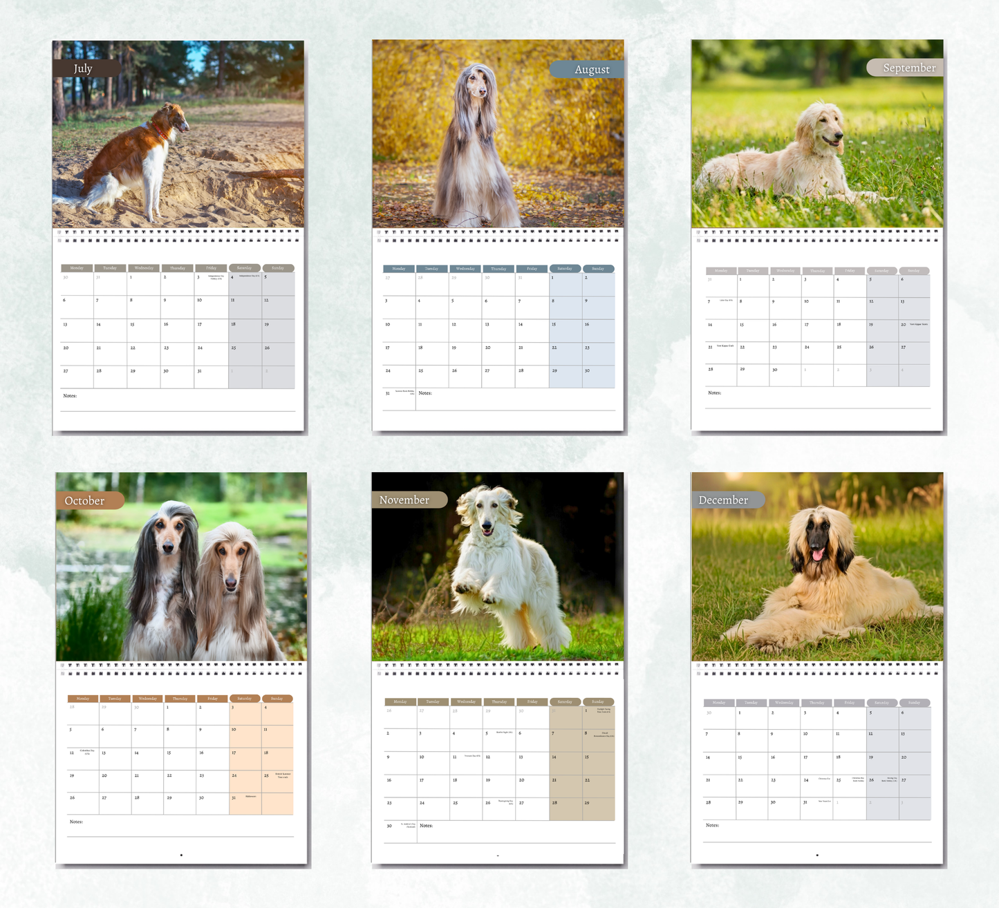 Afghan Hound Calendar 2027