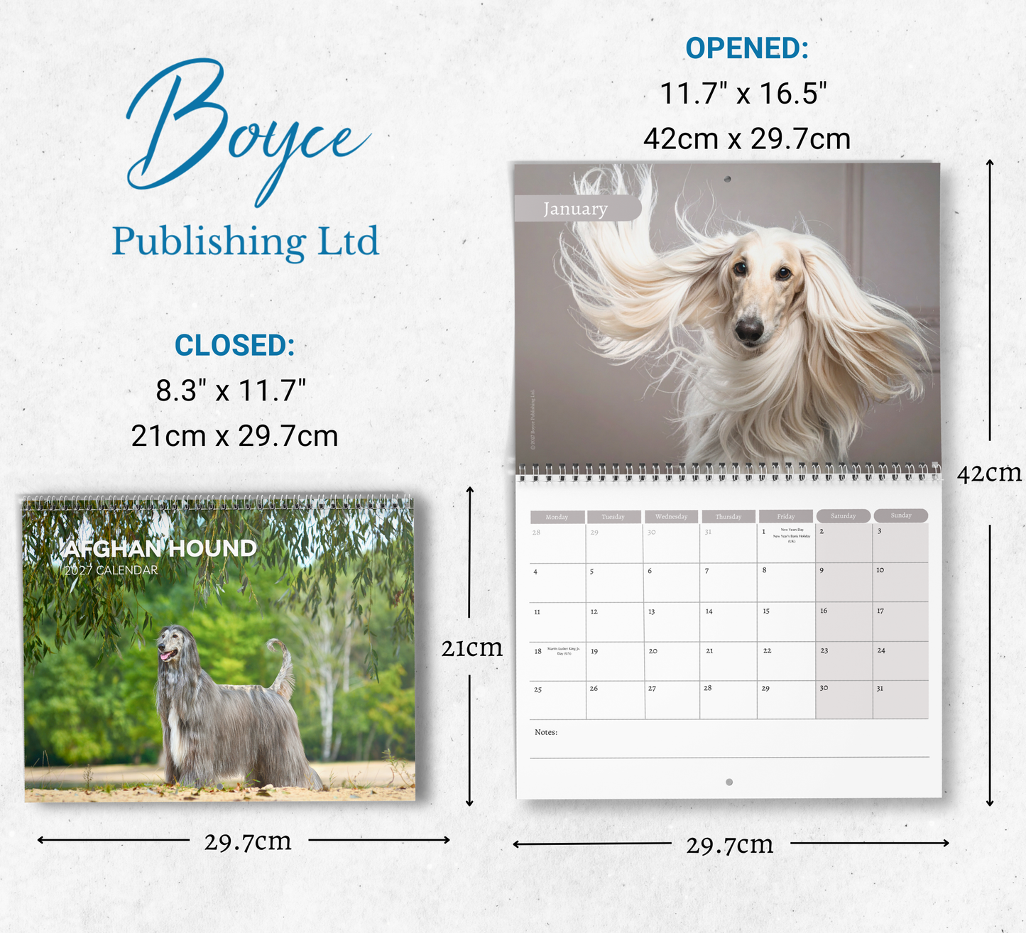 Afghan Hound Calendar 2027