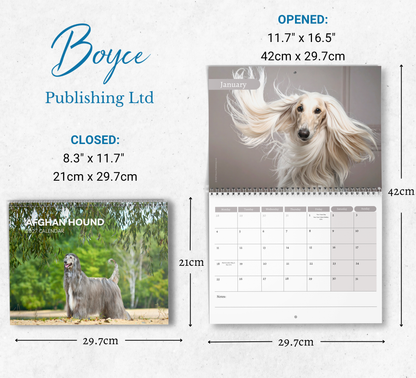 Afghan Hound Calendar 2027