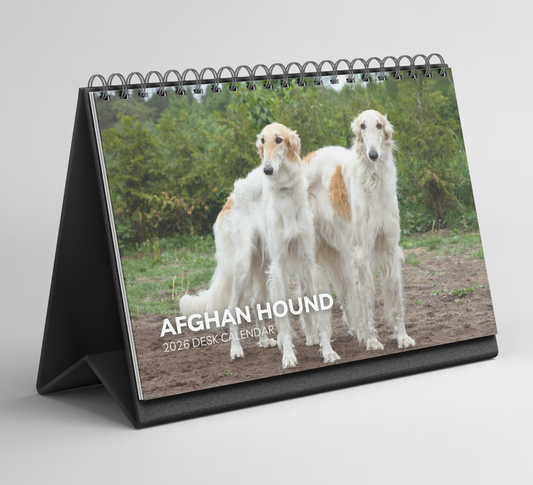 Afghan Hound Desk Calendar 2026-2027