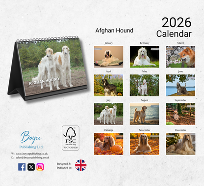 Afghan Hound Desk Calendar 2026-2027