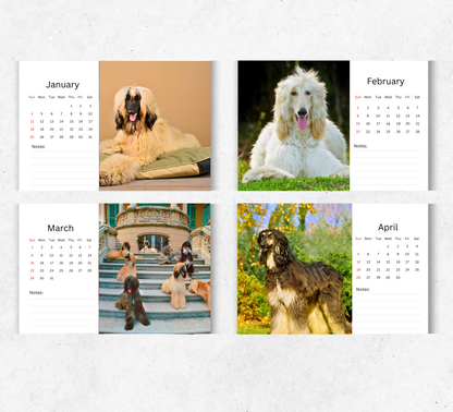 Afghan Hound Desk Calendar 2026-2027