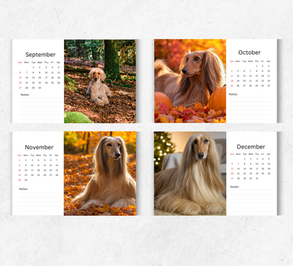 Afghan Hound Desk Calendar 2026-2027