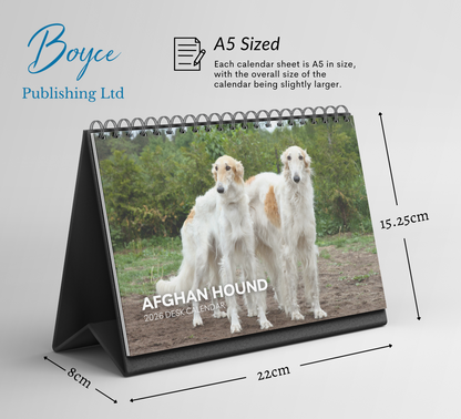 Afghan Hound Desk Calendar 2026-2027