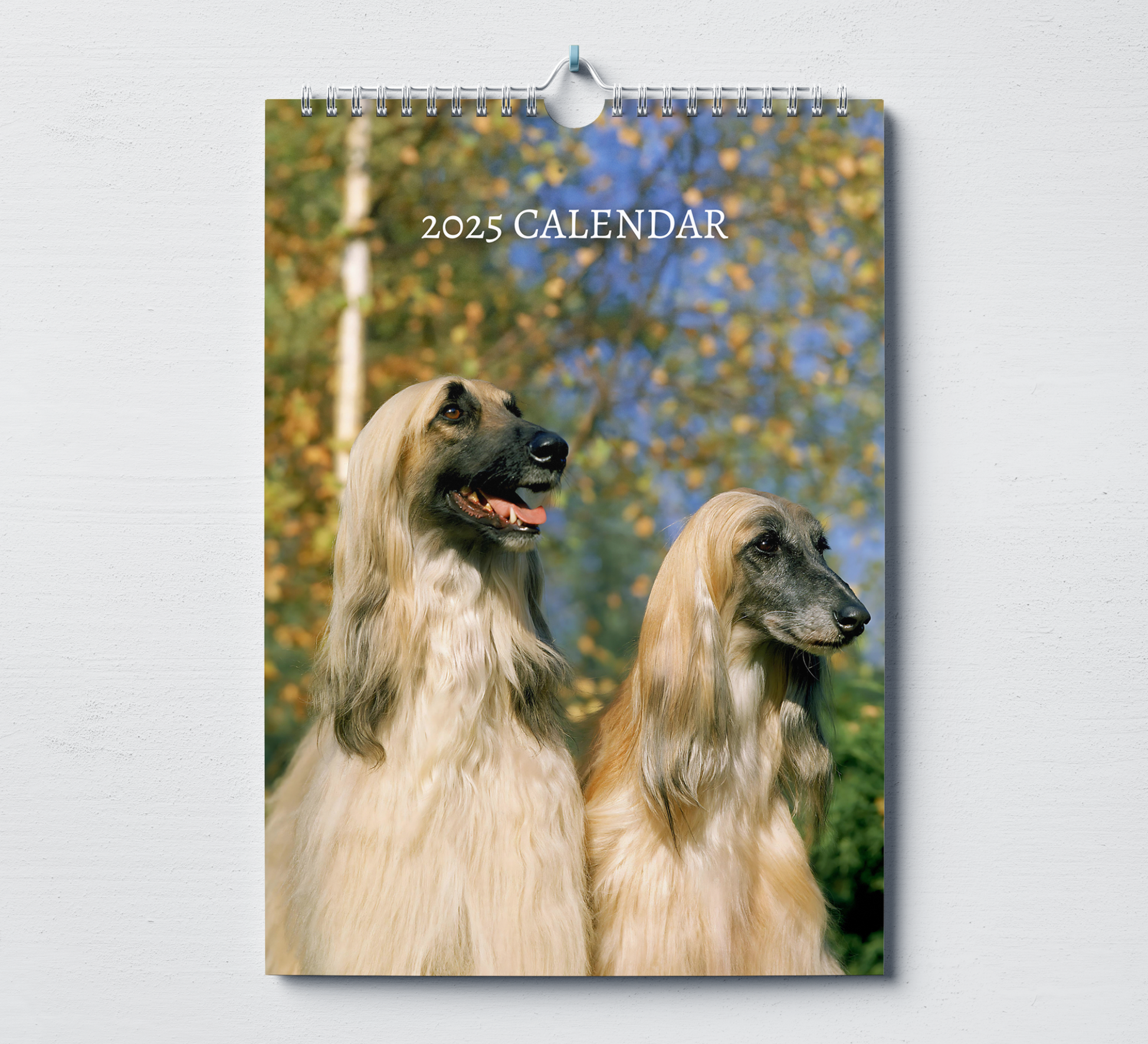 2025 Afghan Hound calendar featuring two afghan hounds with a backdrop of autumn trees.